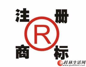 桂林企業一站式服務 公司注冊、代理記賬與食品流通許可證全攻略